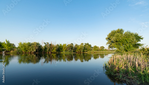 Scenery of silent rural lake near green forest.