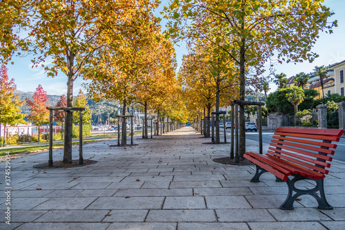 foliage with a red park bench in Luino near the Lake Maggiore