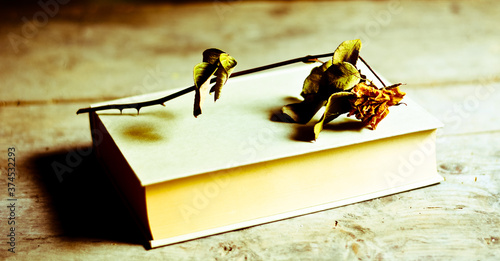 Tableau sur toile a withered yellow rose on a book