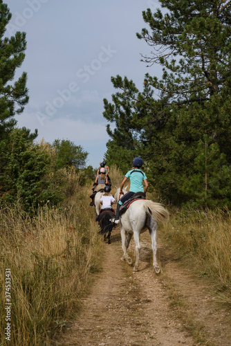 cavaliers sur des chevaux dans la nature