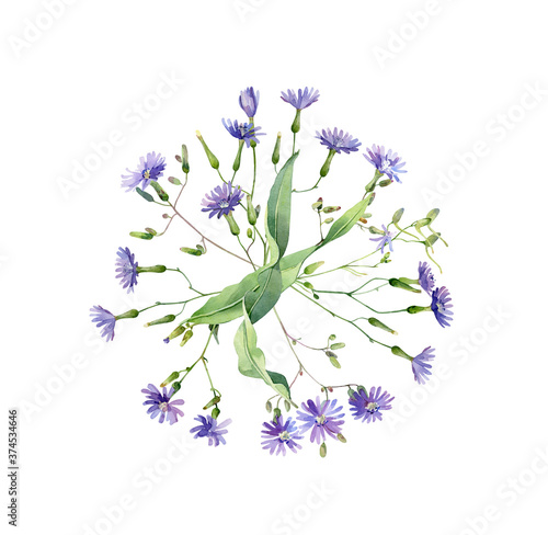 Fototapeta Naklejka Na Ścianę i Meble -  Round watercolor composition of blue wild flowers