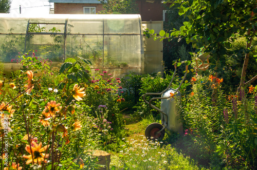 Household farming near a country house. Agricultural implements and household utensils of a rural house. Greenhouse and flowers.