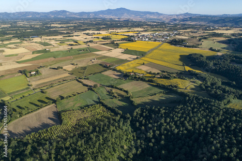 Aerial view of sunflower fields in Bolsena. In Viterbo photo