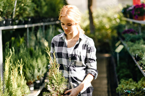Busy girl in garden looks at evergreen shrub with interest. Female model in black shirt chooses plant for herself