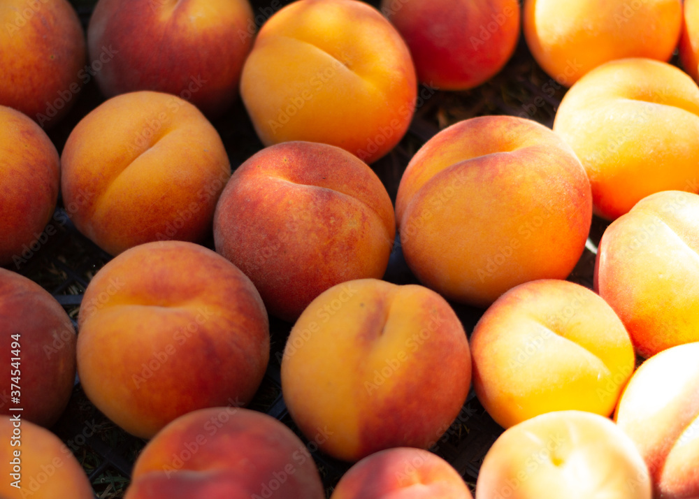 Fresh sweet tasty and juicy peaches fruits on box. Fruit harvest. Fresh sweet tasty and juicy peaches fruits on box. Fruit harvest.