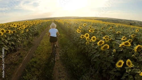 Wallpaper Mural sporty girl riding bicycle between sunflower fields. Sports, active and healthy lifestyle, travel, beauty in nature concept Torontodigital.ca