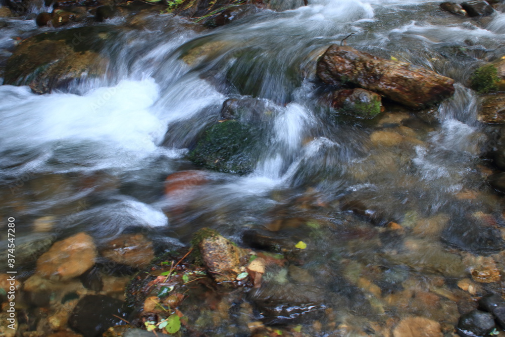 Flots filant de la rivière