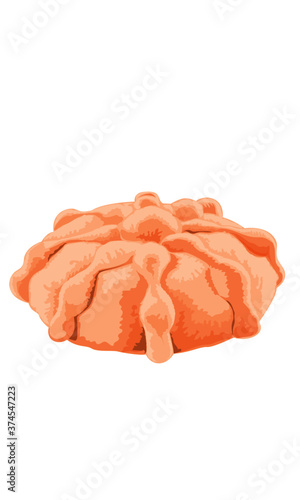 Pan de muerto.