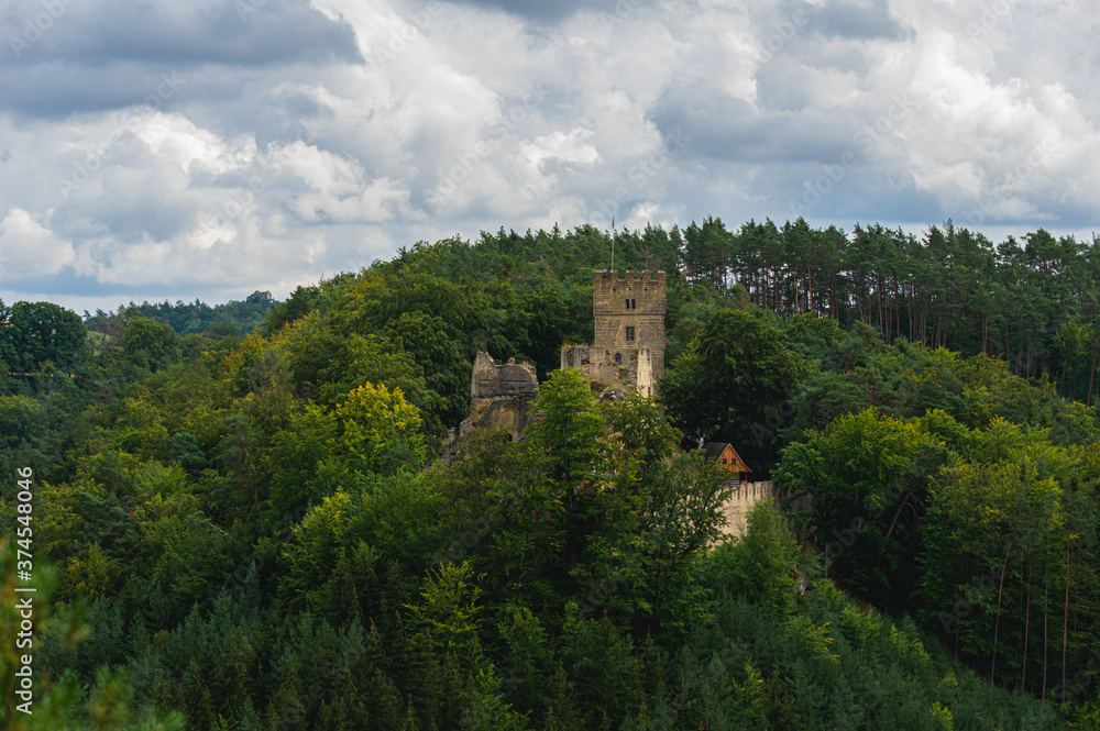 View on the keep of historical ruin of castle Helfenburk u Usteka