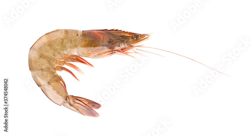Raw shrimp isolated on white background. Raw prawns.