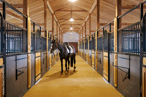 Photographie In the stable with horse in a equestrian center