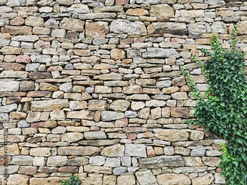 stone wall with green leaves