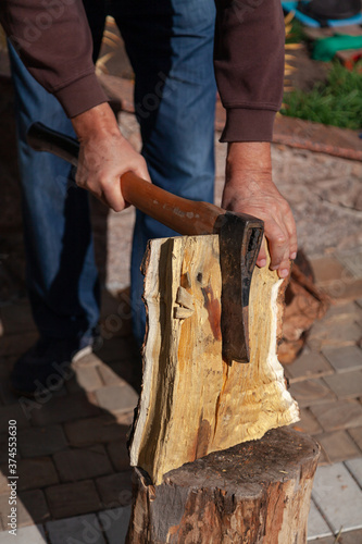 Hands pull ax out of mulberry log