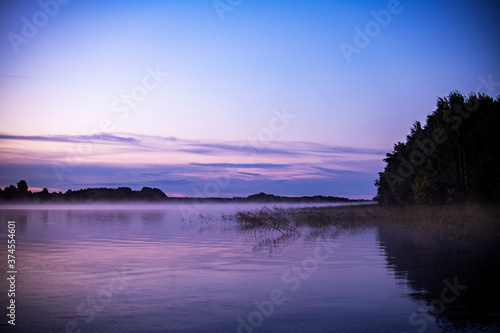 Fototapeta Naklejka Na Ścianę i Meble -  fog on the lake through green reeds at sunrise