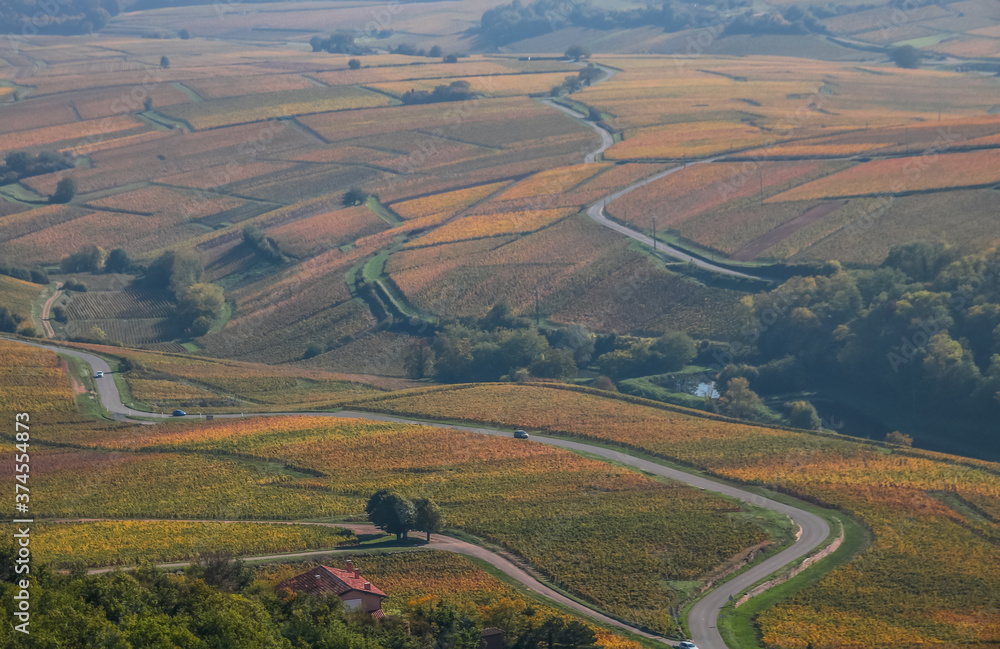 Naklejka premium vignoble en automne près de la Roche de Solutré en Saône et Loire