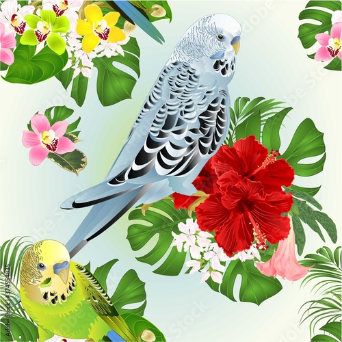 Seamless texture tropical parakeets blue and green Budgerigars home pet ,   and Orchids cymbidium with red hibiscus palm and    watercolor vintage vector illustration editable hand draw