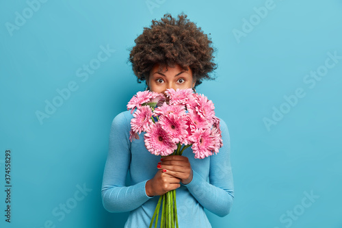 Good looking delicate African American woman smells rosy gerbera flowers, enjoys pleasant odour holds bouquet in hands, has tender look at camera, comes on romatic date with boyfriend, blue background