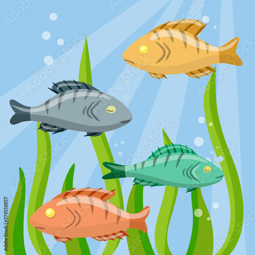 Set of fish. River animal with scales, fins and tail. Underwater life. Water with algae. Wildlife and aquarium. Element of fishing. Cartoon flat illustration
