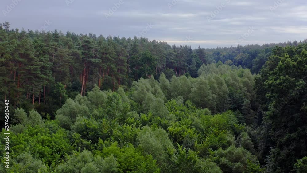 Beautiful forest. Flying over the tops of mixed trees in summer. Green nature background. Tranquil atmosphere in woodland. Aerial view. Beautiful forest. Flying over the tops of mixed trees in summer. Green nature background. Tranquil atmosphere in woodland. Aerial view.