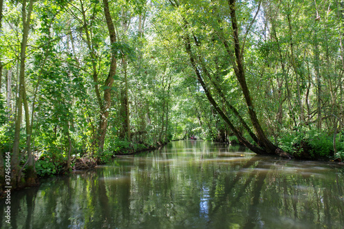 Marais poitevin