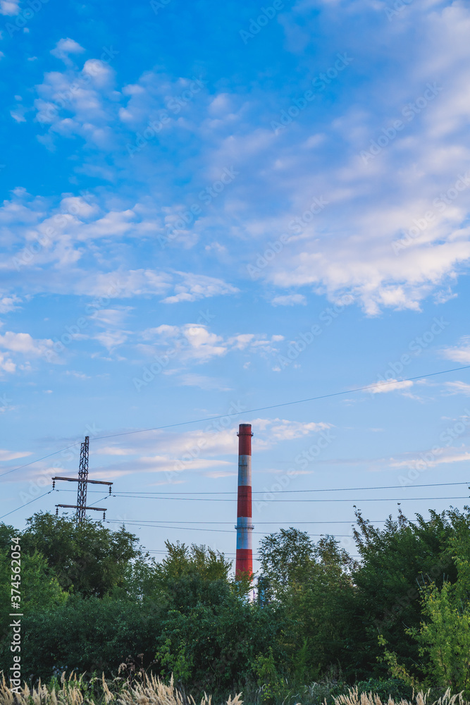 Oil refinery pipe behind trees near power lines. Vertical photo