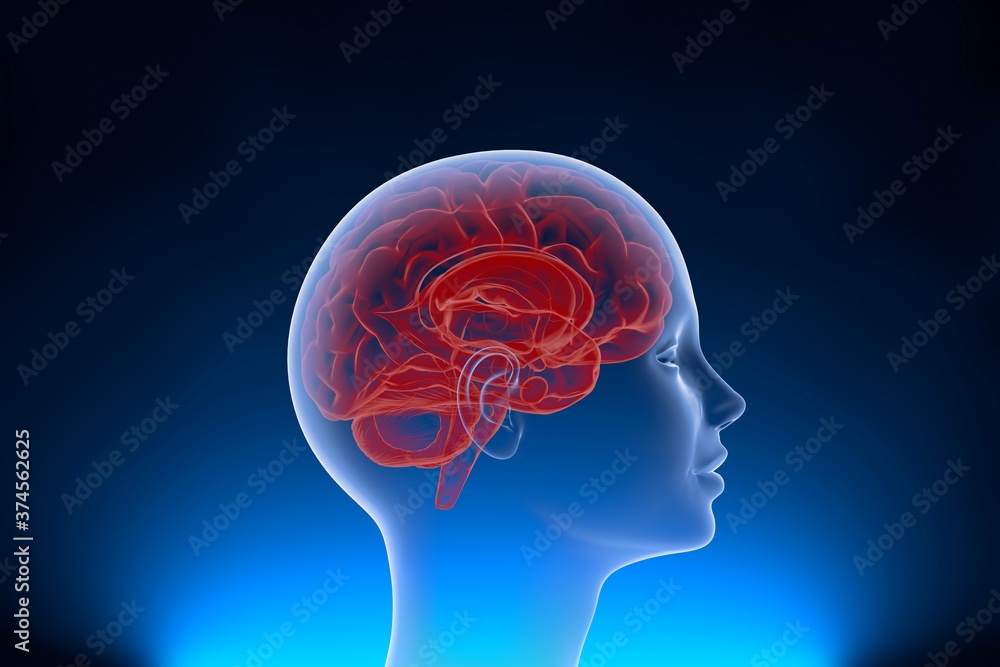 Neuralink surgically implant some computer components onto the surface of your brain to control equipments and improve the memory with neural link. 