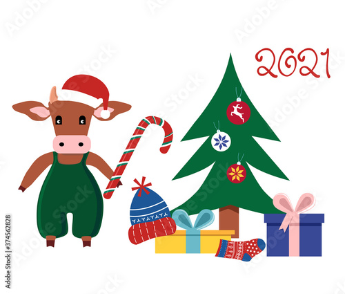 Cute cartoon Ox holding candy cane and put present boxes under Christmas tree.Happy Chinese New Year 2021 greetings.Seasonal sale,gift card or promo flyer template.Bull in santa hat.Family celebrating