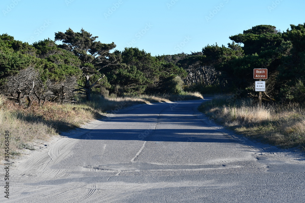 Fototapeta premium Sand swept road near the beach on bright summer day.