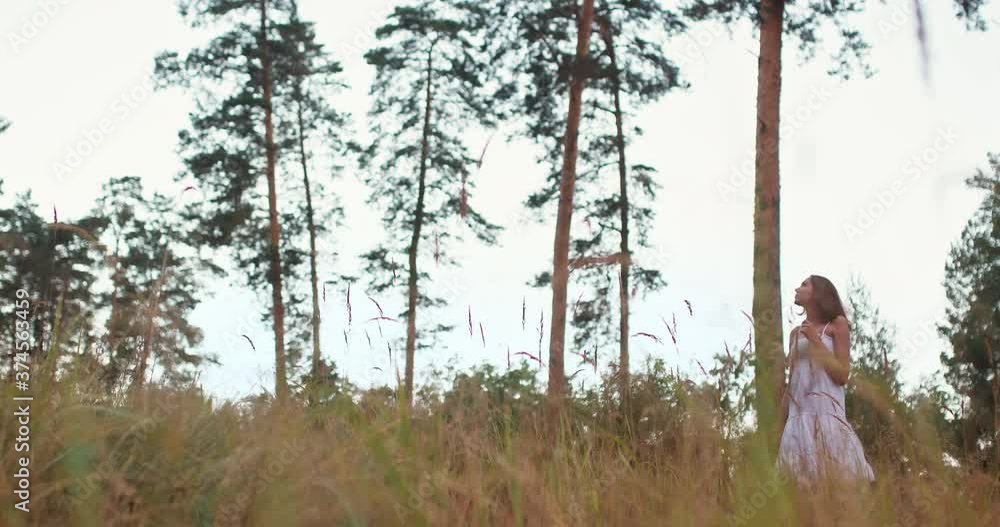 Cute girl in a dress stands between the pines in the forest and dreams, ears and grass, tall pines. Romantic walk and relaxation in the forest, travel. 4k, 10bit, ProRes Cute girl in a dress stands between the pines in the forest and dreams, ears and grass, tall pines. Romantic walk and relaxation in the forest, travel. 4k, 10bit, ProRes