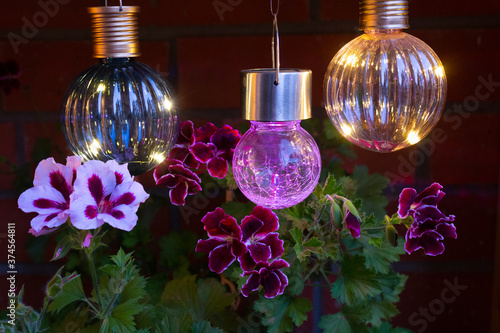 Summer solar lanterns lit up in the evening and illuminate the pelargonium flowers at home