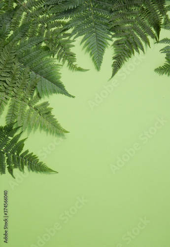 Fern leaves lie around a green background. Vertical orientation