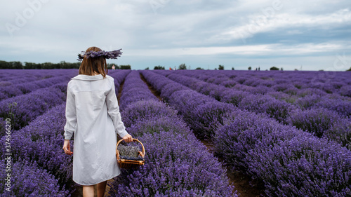 Woman in white dress and wreath of lavender flowers on her head holding a basket with lavender flowers and walking through the lavender field