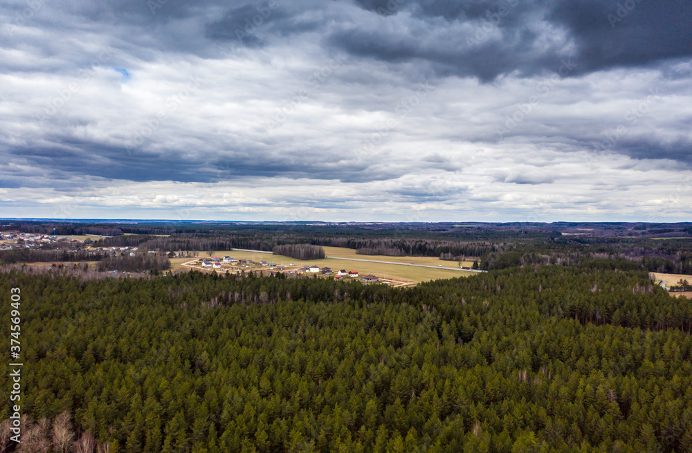 Drone shot flying on spring pine tree forest.