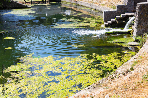 Rotting algae was thrown to the shore of the reservoir. Environmental pollution problem. Beach pollution. Eco Disaster.