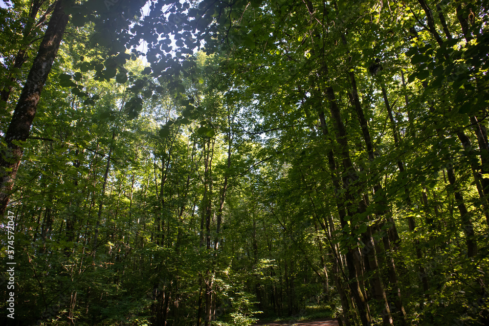 Obraz premium Landscape of Russian nature. Beautiful view