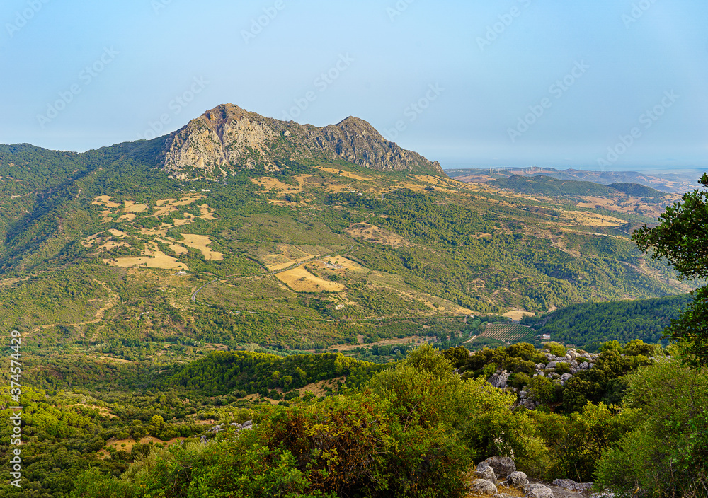 landscape with peak of mountain with rocks, bushes, trees in andalusia, spain