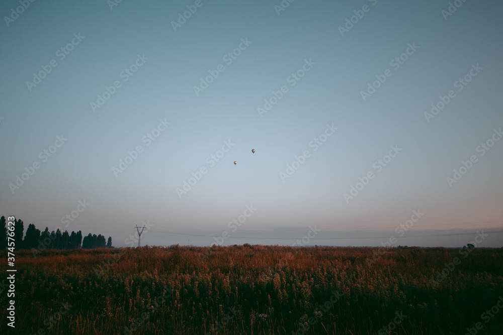 Beautiful wild eco environment near the city