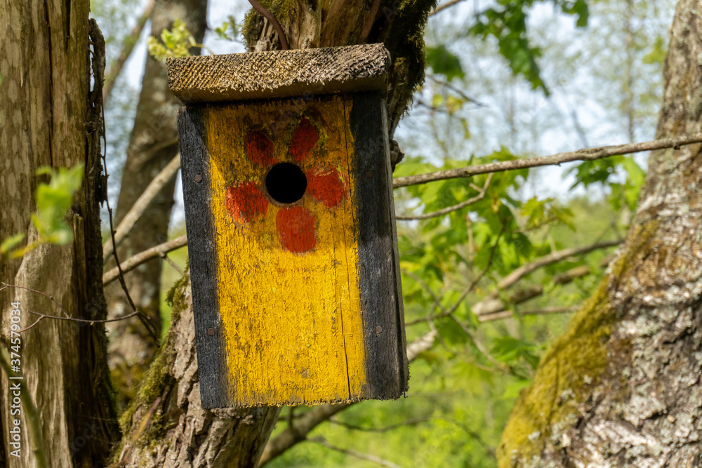 nesting-box with a flower
