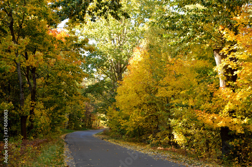 beautiful autumn landscape road and trees with yellow foliage road