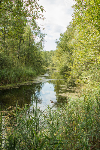 Little lake  with  forest in Noginsk area, Moscow region, Russia. photo