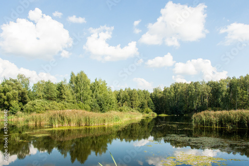 Fototapeta Naklejka Na Ścianę i Meble -  Little lake  with  forest in Noginsk area, Moscow region, Russia.
