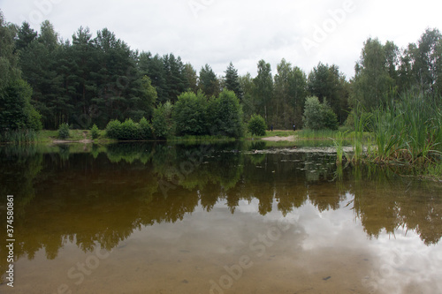 Little lake and forest in Noginsk area, Moscow region, Russia