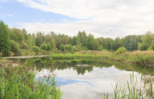 Little lake and forest in Noginsk area, Moscow region, Russia. Cloudy weather, blue sky, reflections in water photo