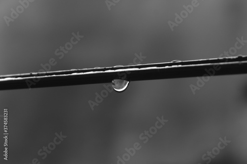 gotas de chuva no varal.