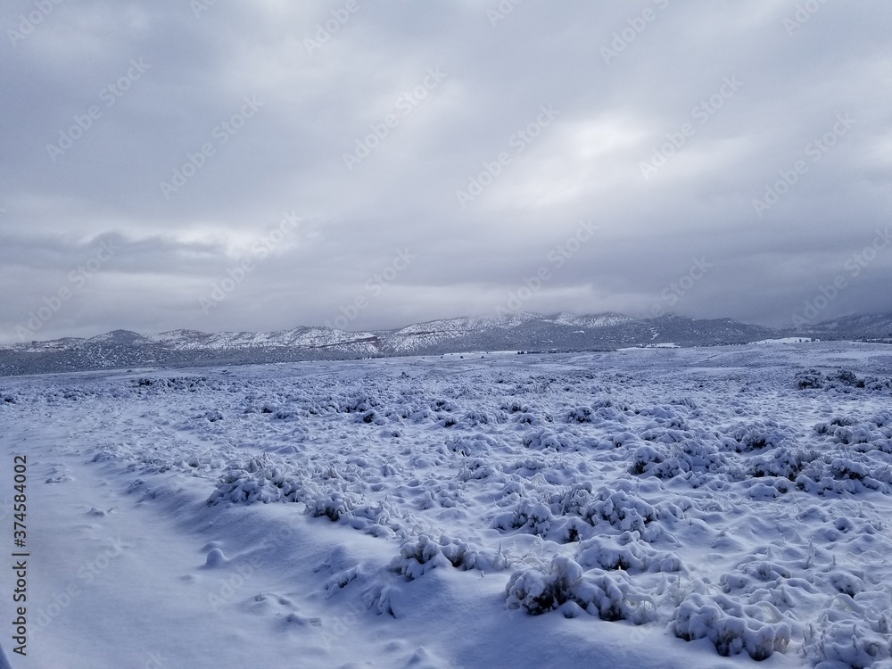 Snowy Landscape Snowy Landscape