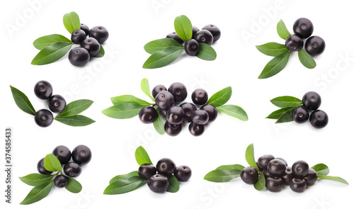 Set of fresh acai berries with green leaves on white background