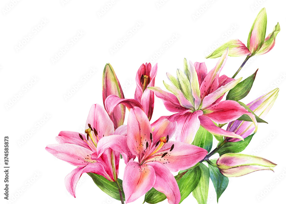 Elegant lily bouquet, pink white lilies on an isolated white background, watercolor stock illustration.	Greeting card, post card, decor.