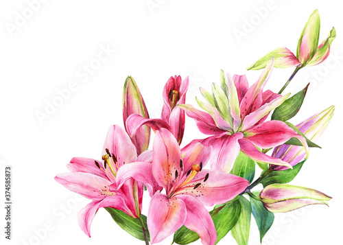Elegant lily bouquet  pink white lilies on an isolated white background  watercolor stock illustration. Greeting card  post card  decor.
