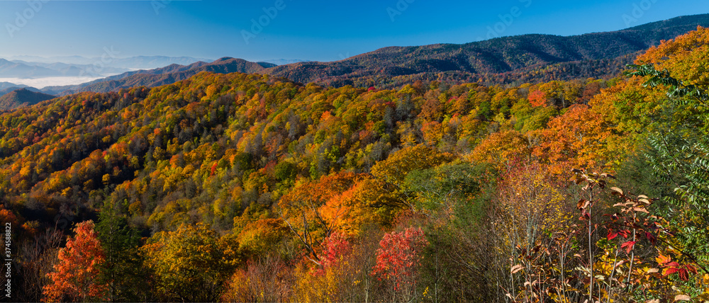 Obraz premium Autumn in the Great Smoky Mountains