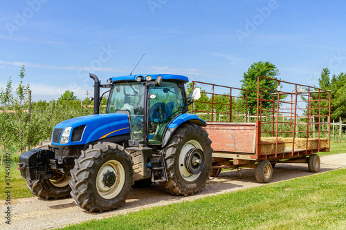 Agricultural machinery on the field moves bales of hay after harvesting grain crops. Tractor loads bales of hay on trailer.